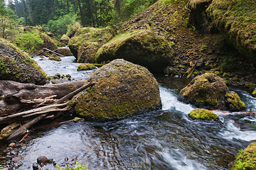 Image showing Stream