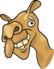Image showing dromedary camel