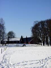 Image showing Farm