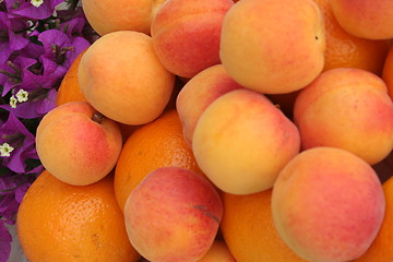 Image showing Apricots,oranges and bougainvillea