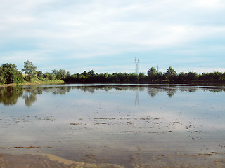 Image showing Paddy field