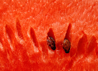 Image showing watermelon close up background