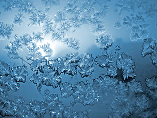 Image showing frosty natural pattern