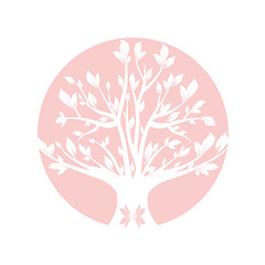 Image showing Pink tree