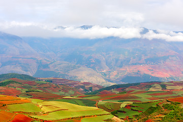 Image showing Red land