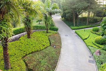 Image showing Road in garden