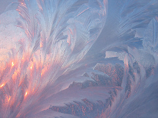 Image showing frost and sun