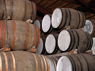 Image showing Whisky barrels