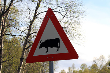 Image showing Norwegian road sign