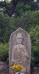 Image showing At a Buddhist temple in Korea