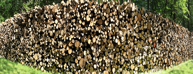 Image showing firewood logs