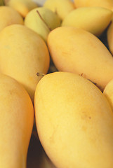 Image showing Mangoes