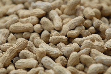 Image showing Groundnuts