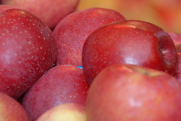 Image showing Red Apples