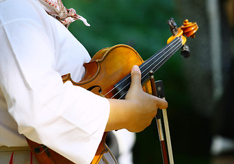 Image showing Violin