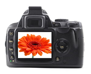 Image showing dslr with summer flower