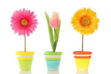 Image showing funny flowers