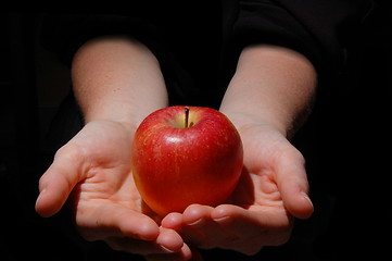 Image showing hand with apple