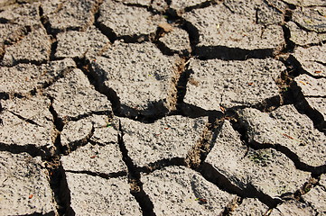 Image showing dry soil