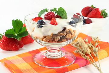 Image showing Fruit Muesli