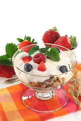 Image showing Fruit Muesli