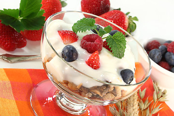 Image showing Fruit Muesli