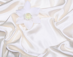 Image showing White flower on smooth elegant white silk as wedding background 