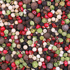 Image showing Different kinds of pepper as spice background