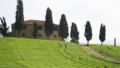 Image showing Italy. Tuscany landscape. 