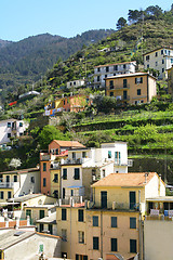 Image showing Italy. Cinque Terre. Colorful houses of Riomaggiore village 