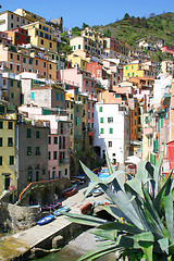 Image showing Italy. Cinque Terre. Riomaggiore village 