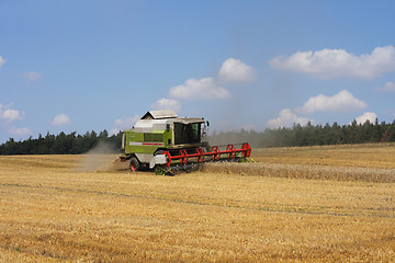 Image showing harvesting corn 