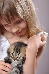 Image showing chilld with a Persian kitten