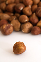 Image showing filbert nuts