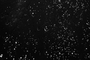 Image showing Water Drops