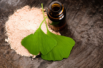 Image showing fresh leaves ginko biloba essential oil and powder - beauty trea