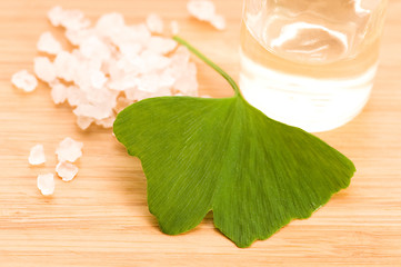 Image showing fresh leaves ginko biloba essential oil and sea salt - beauty tr