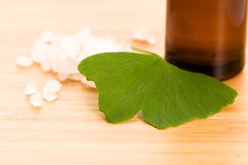 Image showing fresh leaves ginko biloba essential oil and sea salt - beauty tr