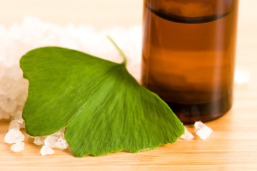 Image showing fresh leaves ginko biloba essential oil and sea salt - beauty tr