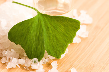 Image showing fresh leaves ginko biloba essential oil and sea salt - beauty tr