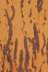 Image showing Yellow scratched texture