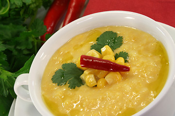 Image showing Corn soup