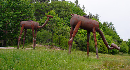 Image showing Iron Camels