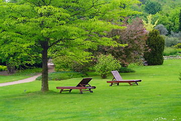 Image showing benches in a beautiful park