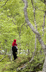 Image showing Hiking