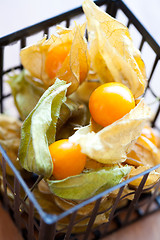 Image showing Physalis