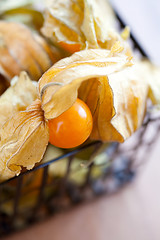 Image showing Physalis