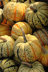 Image showing autumn pumpkins