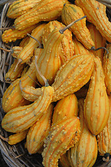 Image showing autumn pumpkins