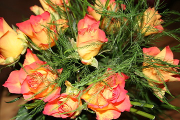 Image showing Beautiful roses